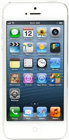 Смартфон Apple iPhone 5 32Gb White & Silver - Борзя