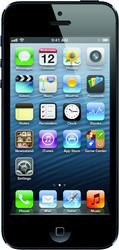 Apple iPhone 5 64GB - Борзя