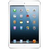 Apple iPad mini 16Gb Wi-Fi + Cellular белый - Борзя